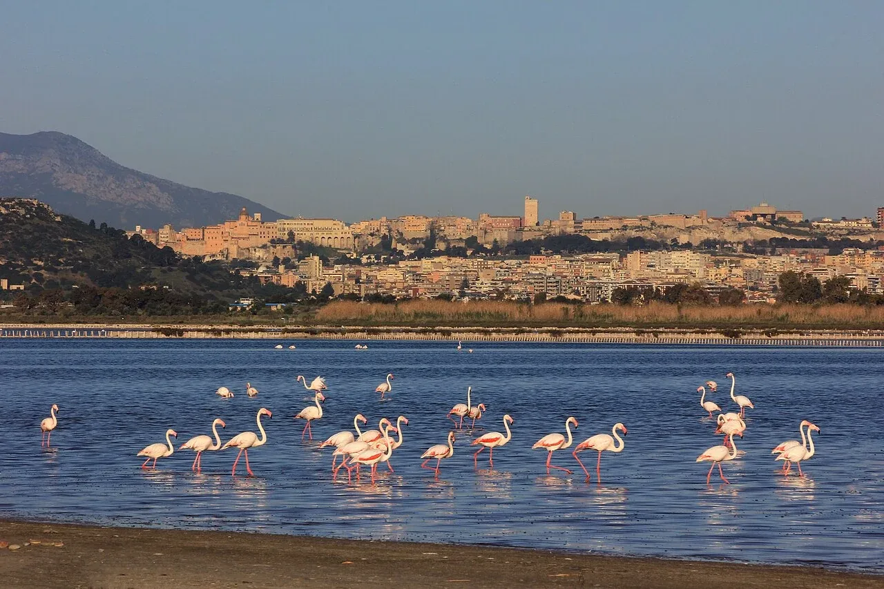 Campidano di Cagliari