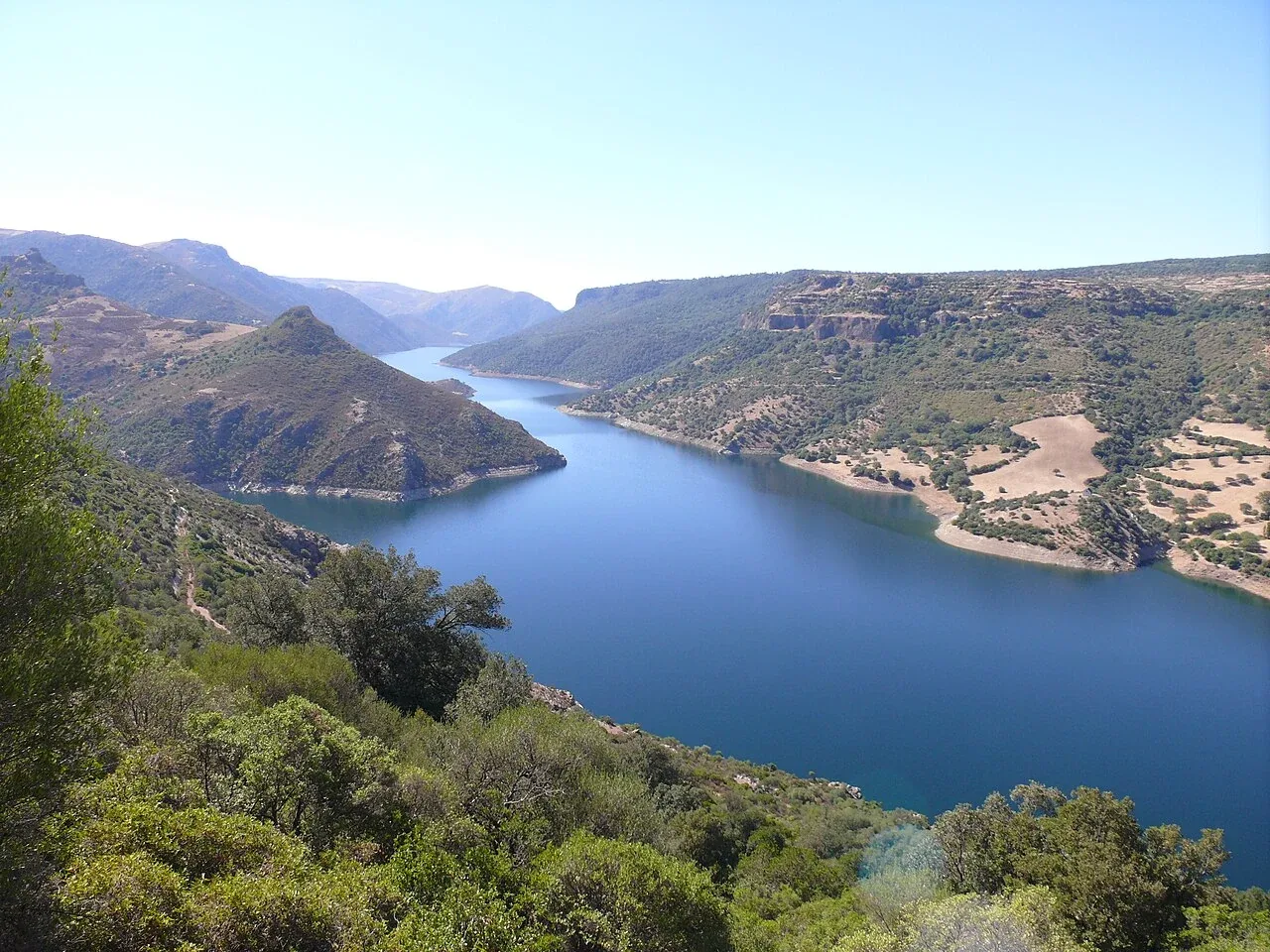 Sarcidano