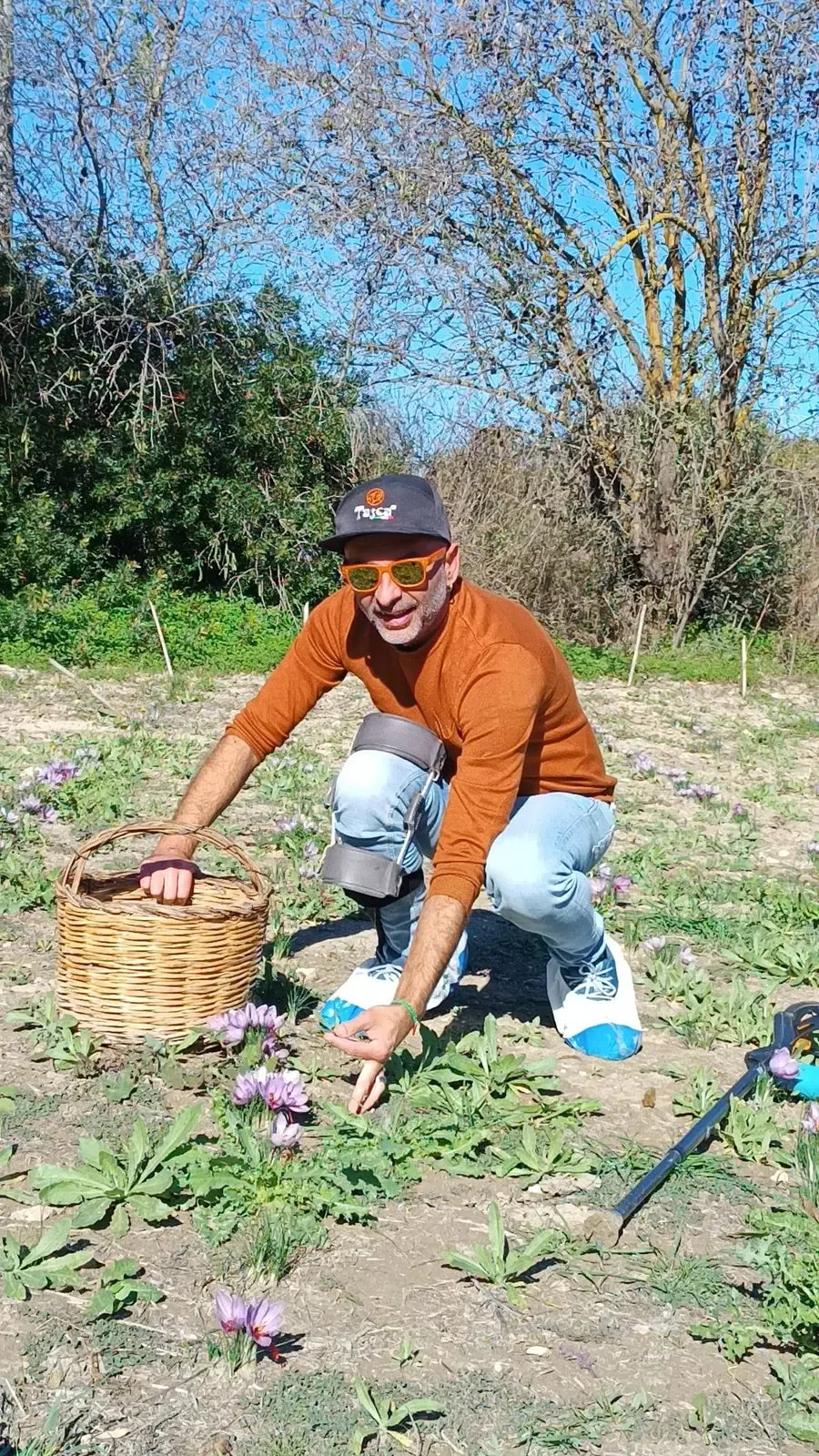 Degustazione di zafferano Cortis in Marmilla
