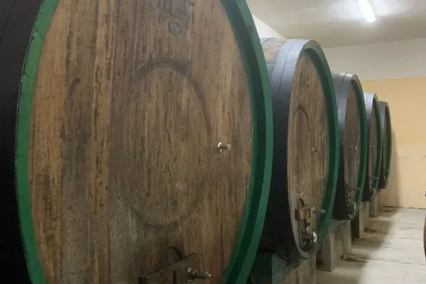 Il cuore del Mandrolisai: visita in cantina e degustazione vini
