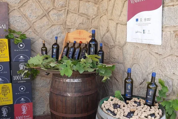 Viaggio nel Mandrolisai: vigneti, cantina e pranzo con degustazione vini