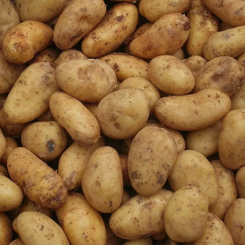 Patate sarde di Serramanna